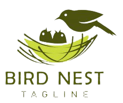 nguyenkimdinhma.biz.vn favicon